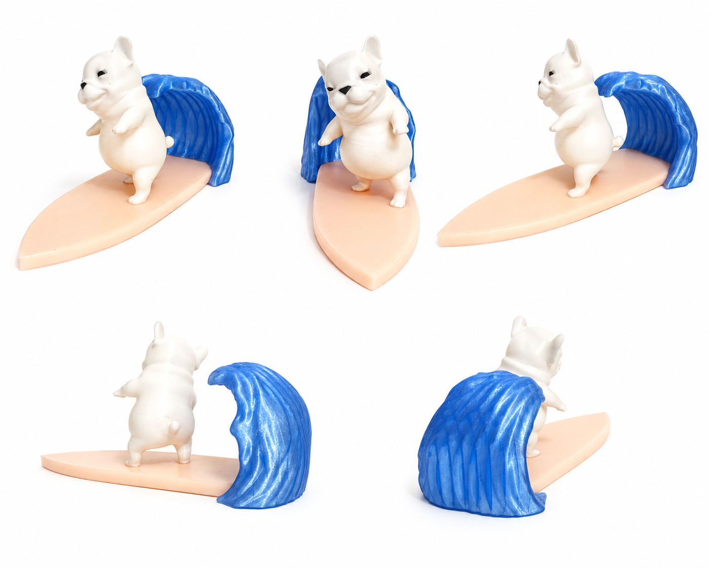 Chill dog surfer